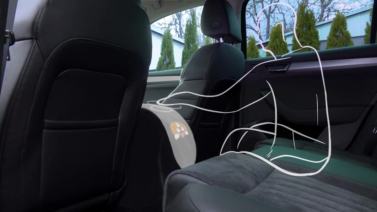 In vehicle experience